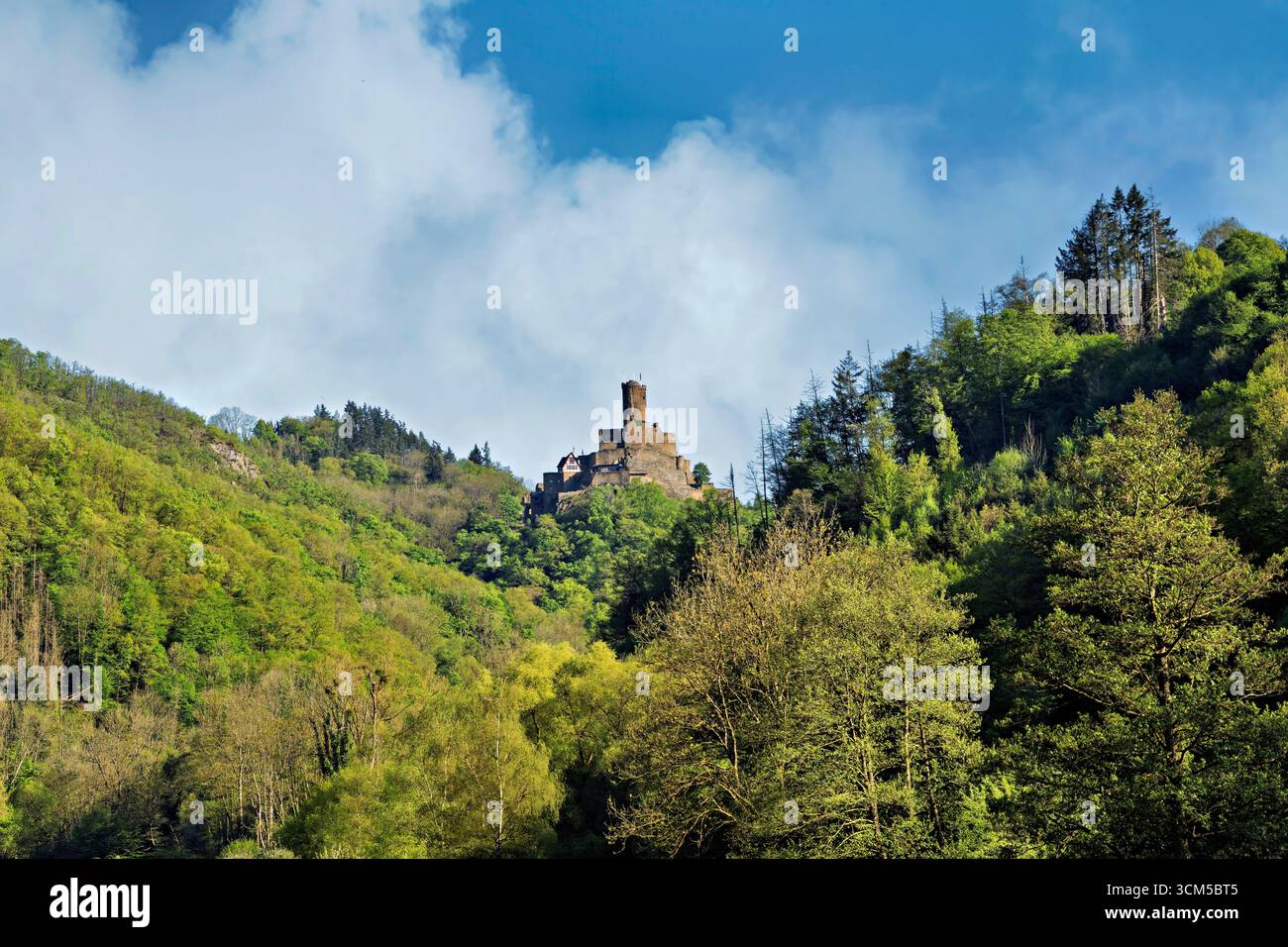View of Ehrenburg Castle, Hunsrück, Brodenbach, Rhineland-Palatinate, Germany Stock Photo