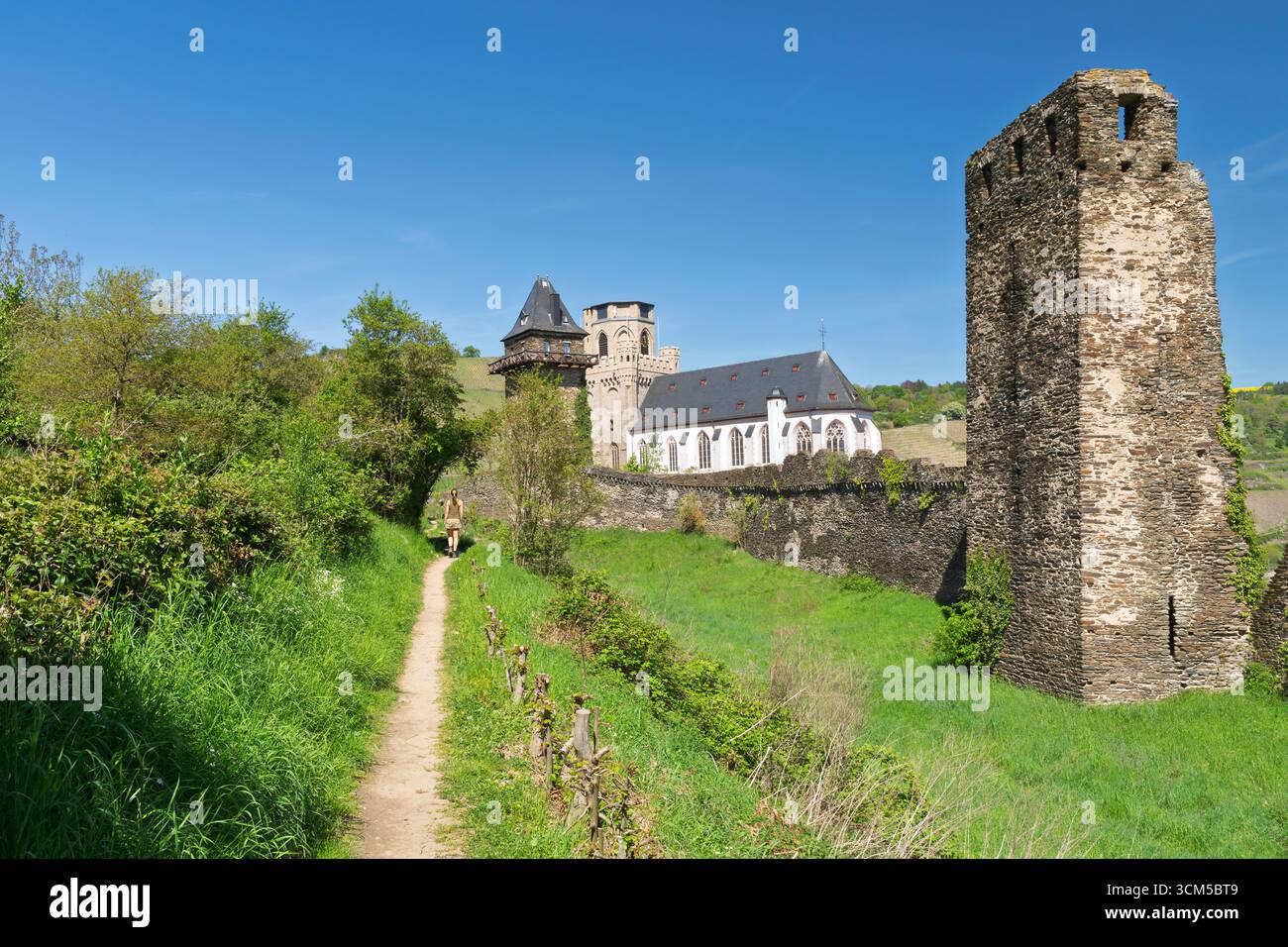 Hiking above Oberwesel, Middle Rhine, Rhineland-Palatinate, Germany Stock Photo