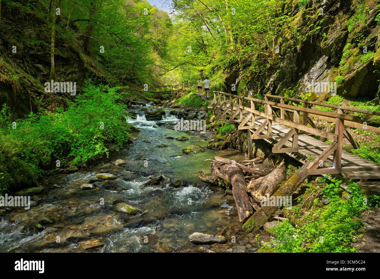 Hiking in the Endert Valley, Eifel, Rhineland-Palatinate, Germany Stock Photo