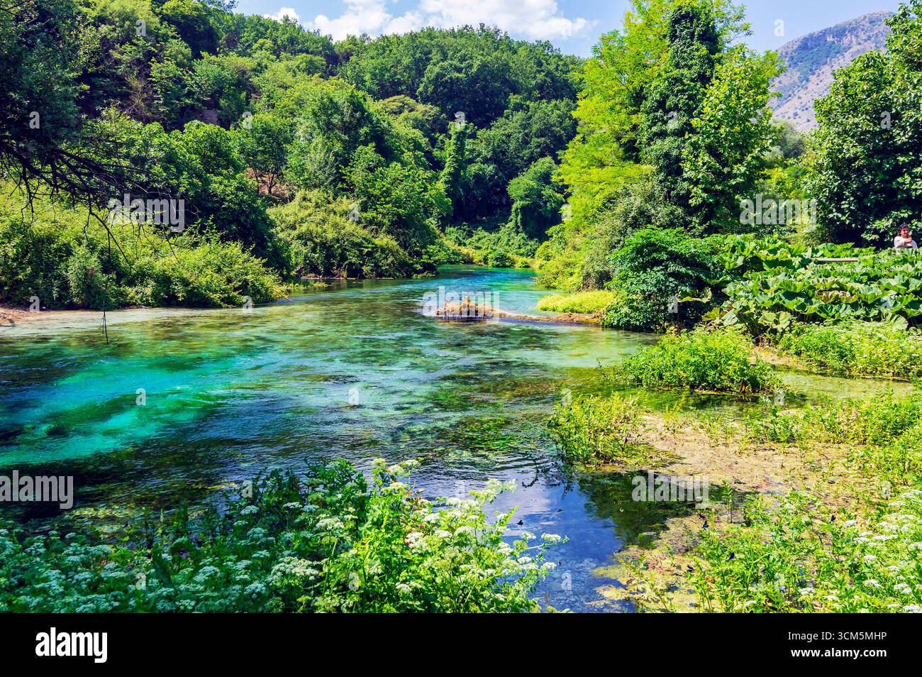 Syri i Kaltër (Blue Eye) is a karst spring on the western slope of the Mali i Gjerë Mountains in Albania. With a flow rate of 6 m³/s, it is the most a Stock Photo