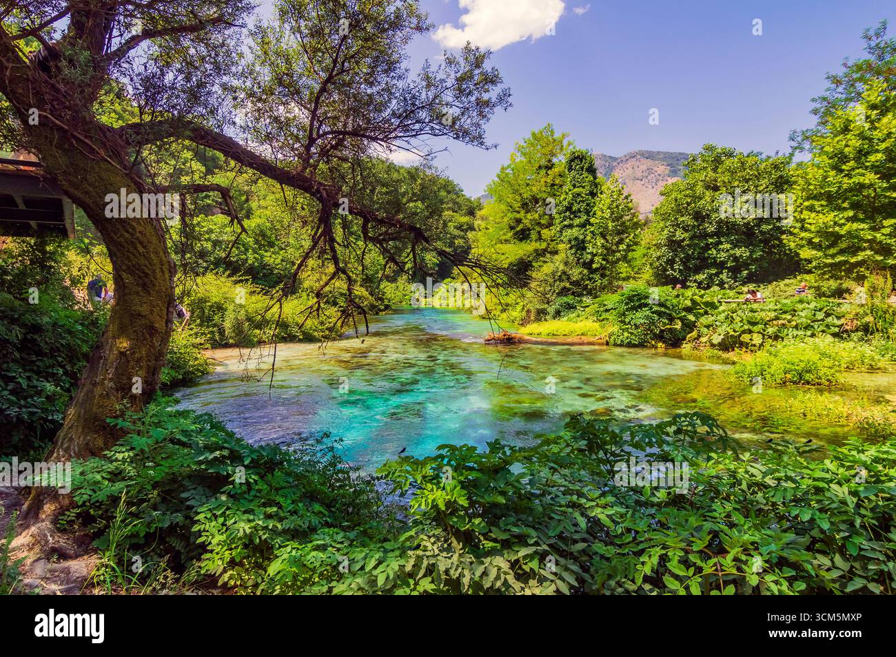 Syri i Kaltër (Blue Eye) is a karst spring on the western slope of the Mali i Gjerë Mountains in Albania. With a flow rate of 6 m³/s, it is the most a Stock Photo
