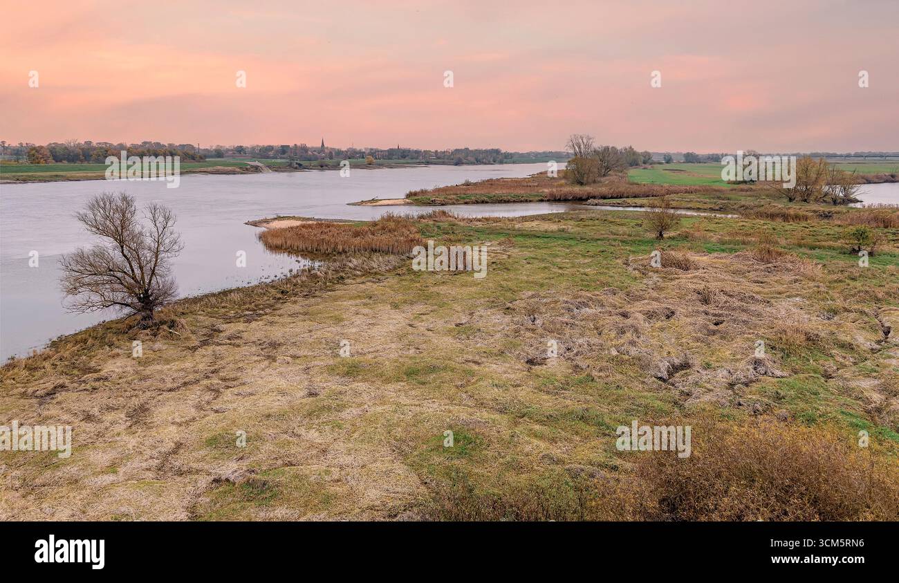 Morning mood in the Elbe River Landscape Biosphere Reserve near Dömitz, Mecklenburg-Western Pomerania, Germany Stock Photo