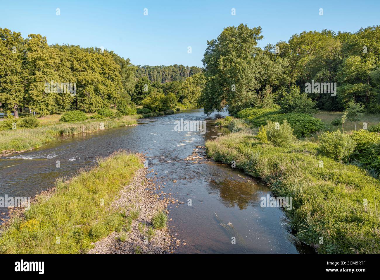 River landscape on the Zwickauer Mulde near Wechselburg, Saxony, Germany Stock Photo