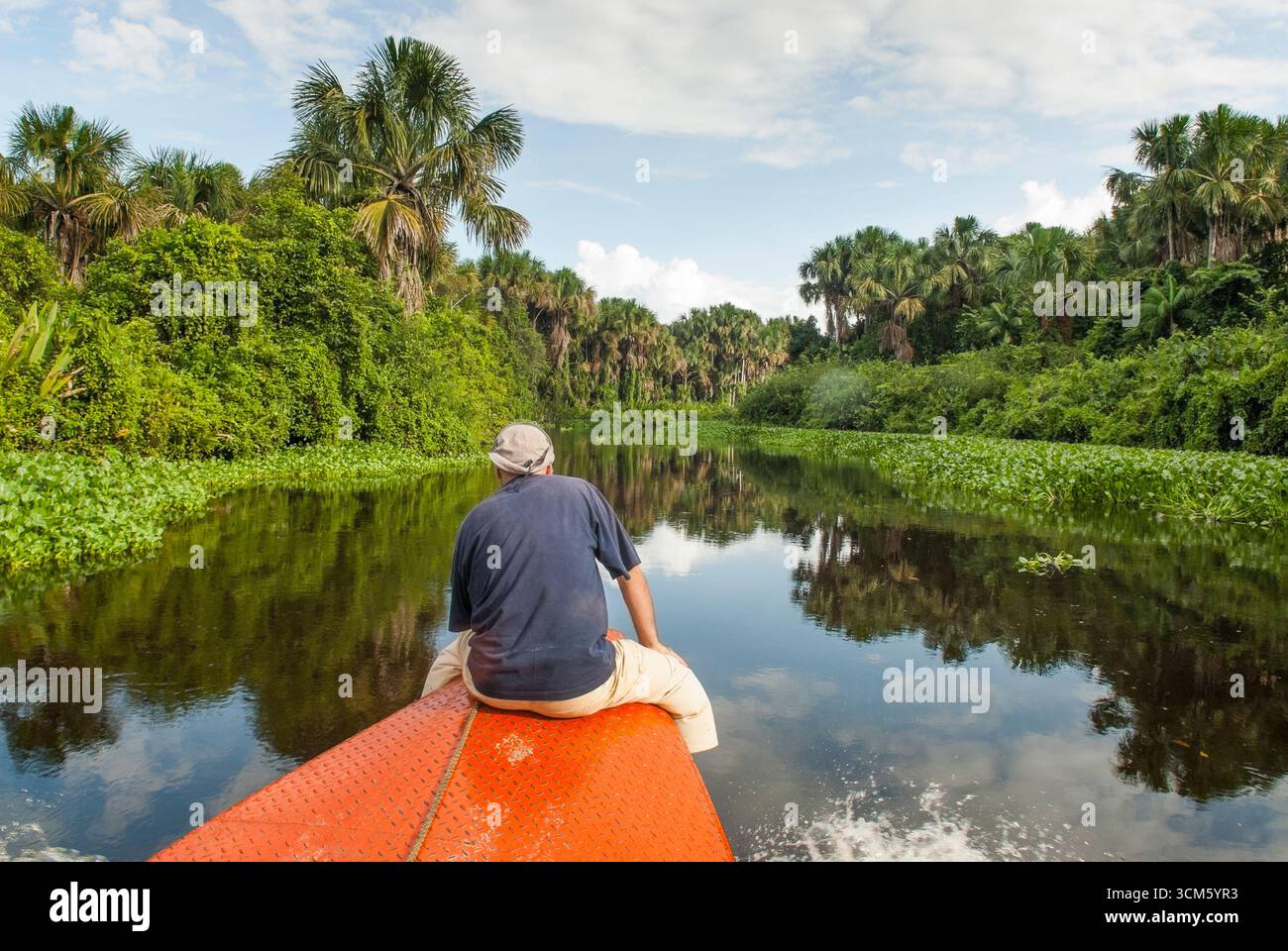Man sitting on prow of a dugout canoe on Tigre river, tributary of Orinoco river,Monegas State, Bolivarian Republic of Venezuela, South America Stock Photo