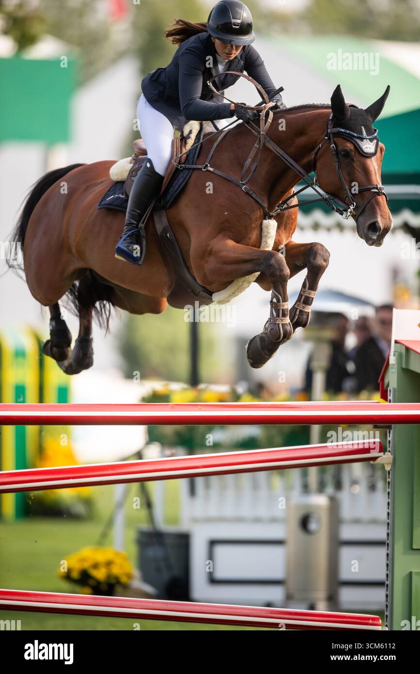 PETA files criminal complaint against Austrian showjumper Alessandra Reich for alleged animal cruelty