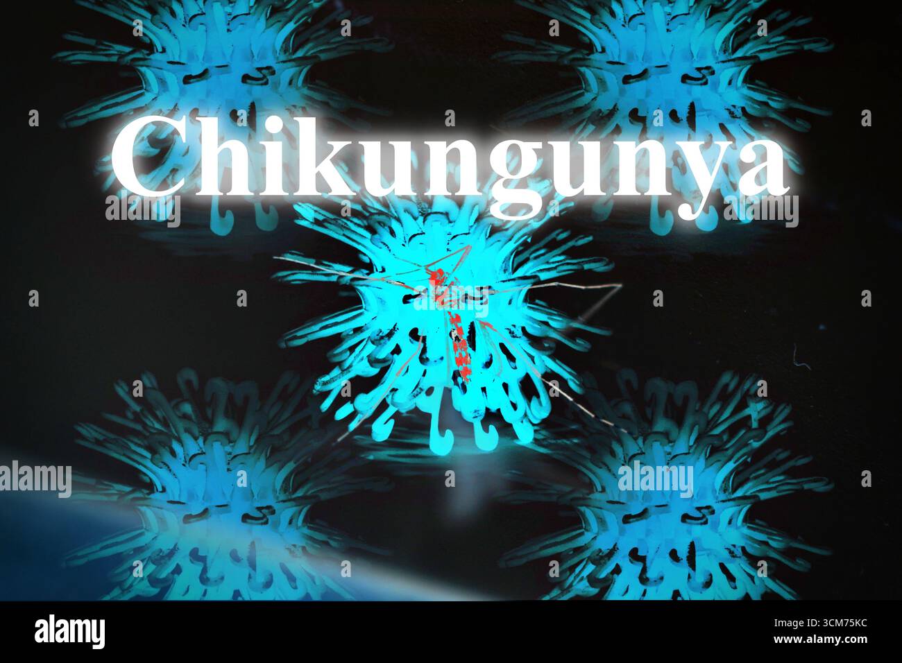 Mosquito inside a virus cell , concept of virus Chikungunya Stock Photo
