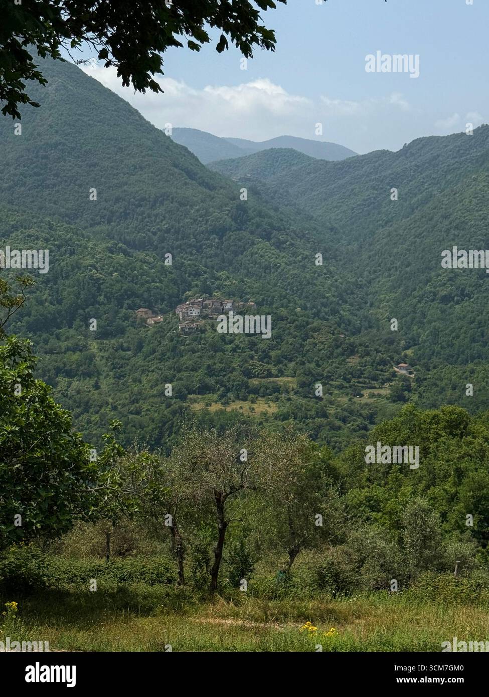 Views of the Monte dei Bianchi - Apuan Alps and the valley below the ...