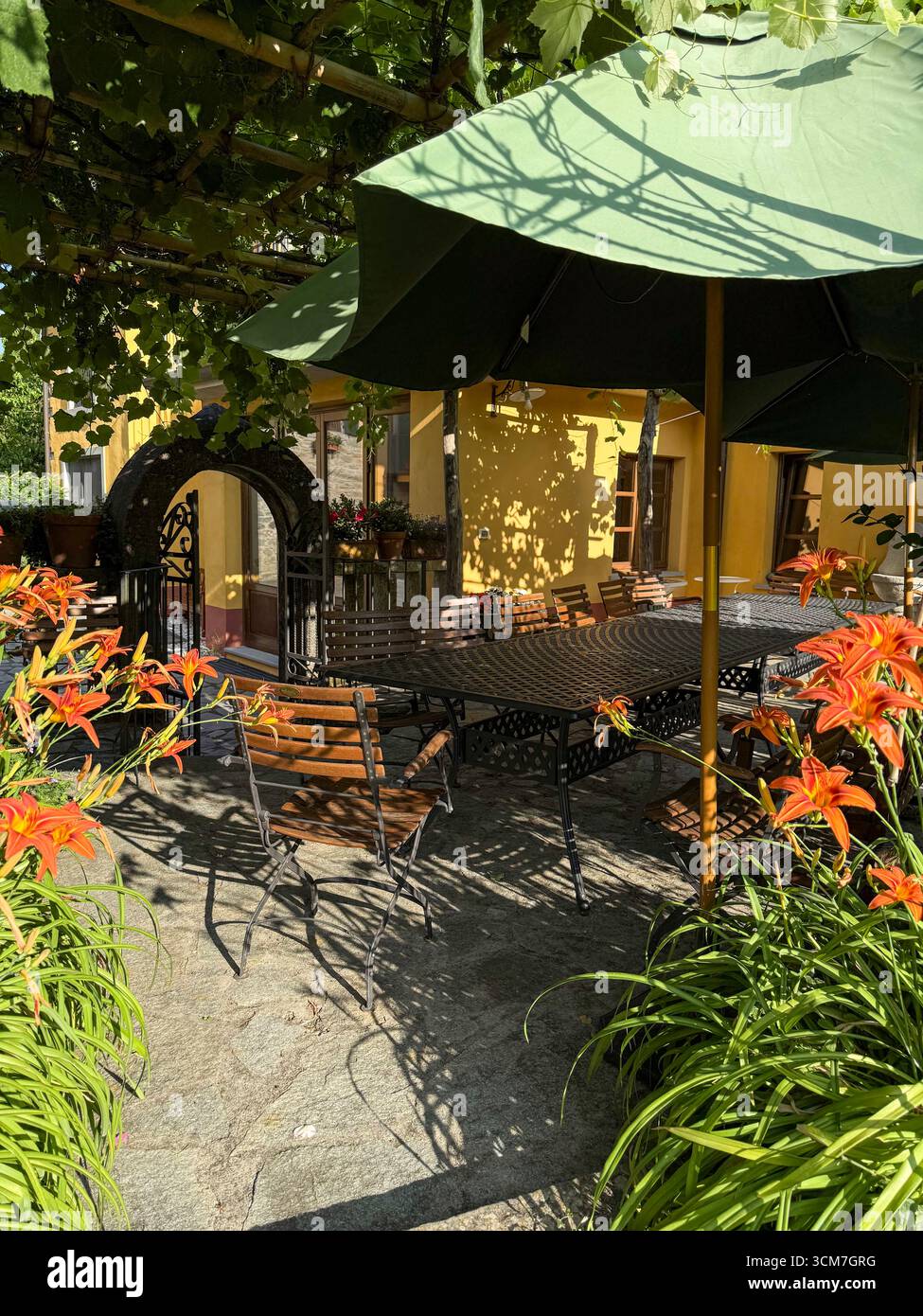 Morning sunlight under the grape vines on a patio of the 17th Century historic buildings of a watermill in the hamlet of Pisara where water was fed fr - Smartphone Captured Stock Image