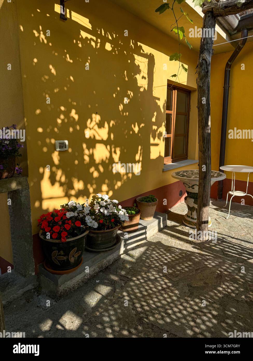 Morning sunlight casting a tree shadow under the grape vines on a patio of the 17th Century historic buildings of a watermill in the hamlet of Pisara - Smartphone Captured Stock Image