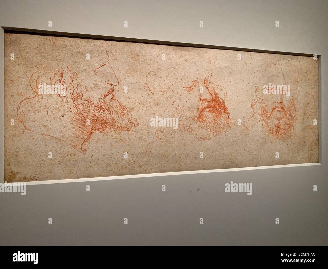 Louvre Museum, Paris. Oct 24,2019: Leonardo da Vinci historical exhibition opening. Study of man's head presumed portrait of Cesare Borgia, Red chalk - Smartphone Captured Stock Image Louvre Museum, Paris. Oct 24,2019: Leonardo da Vinci historical exhibition opening. Study of man's head presumed portrait of Cesare Borgia, Red chalk - Smartphone Captured Stock Image