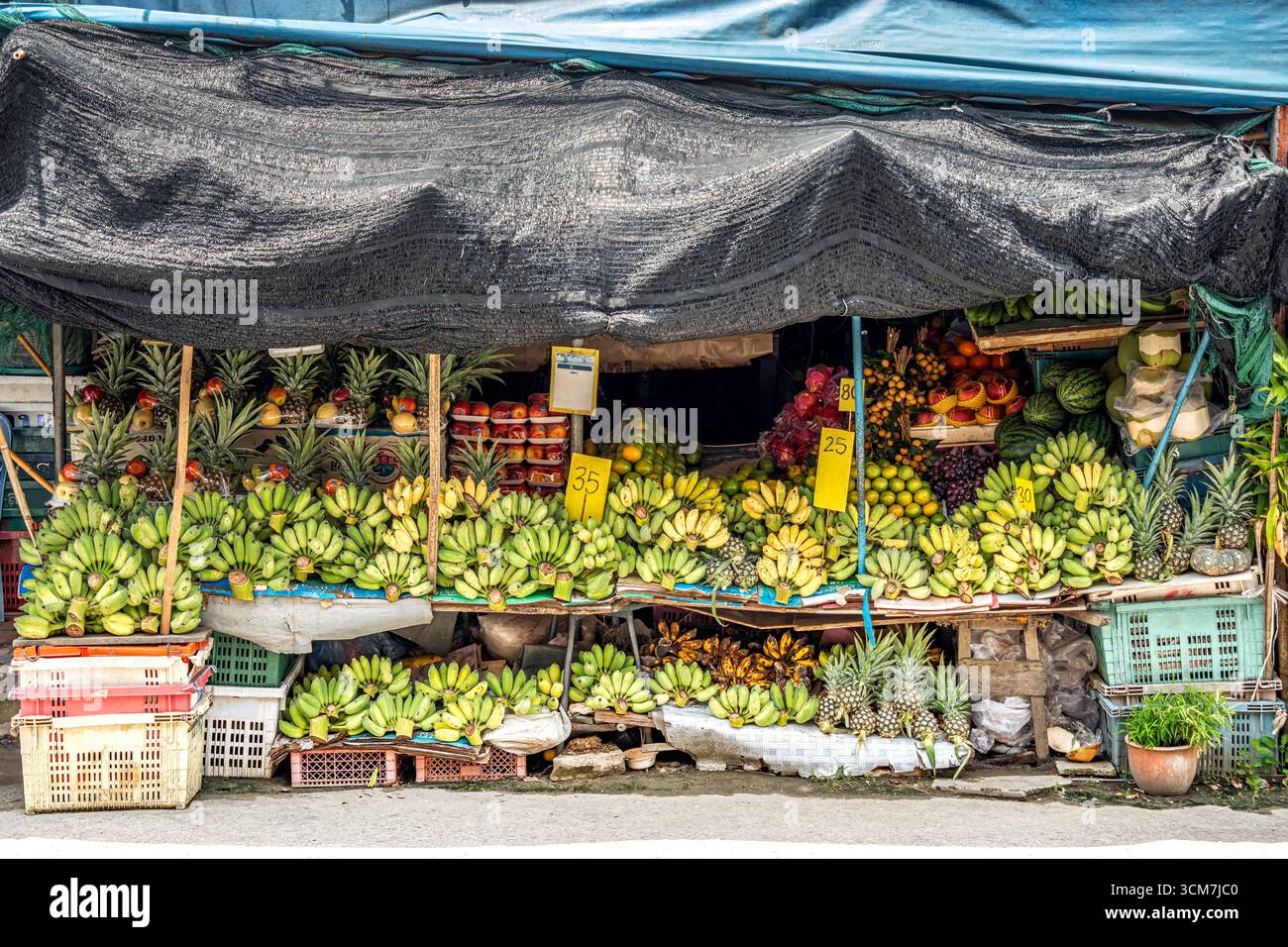 Outdoor tropical fruit stall selling a variety of fresh produce, including numerous bunches of bananas, pineapples, coconuts and other fruits. Stock Photo