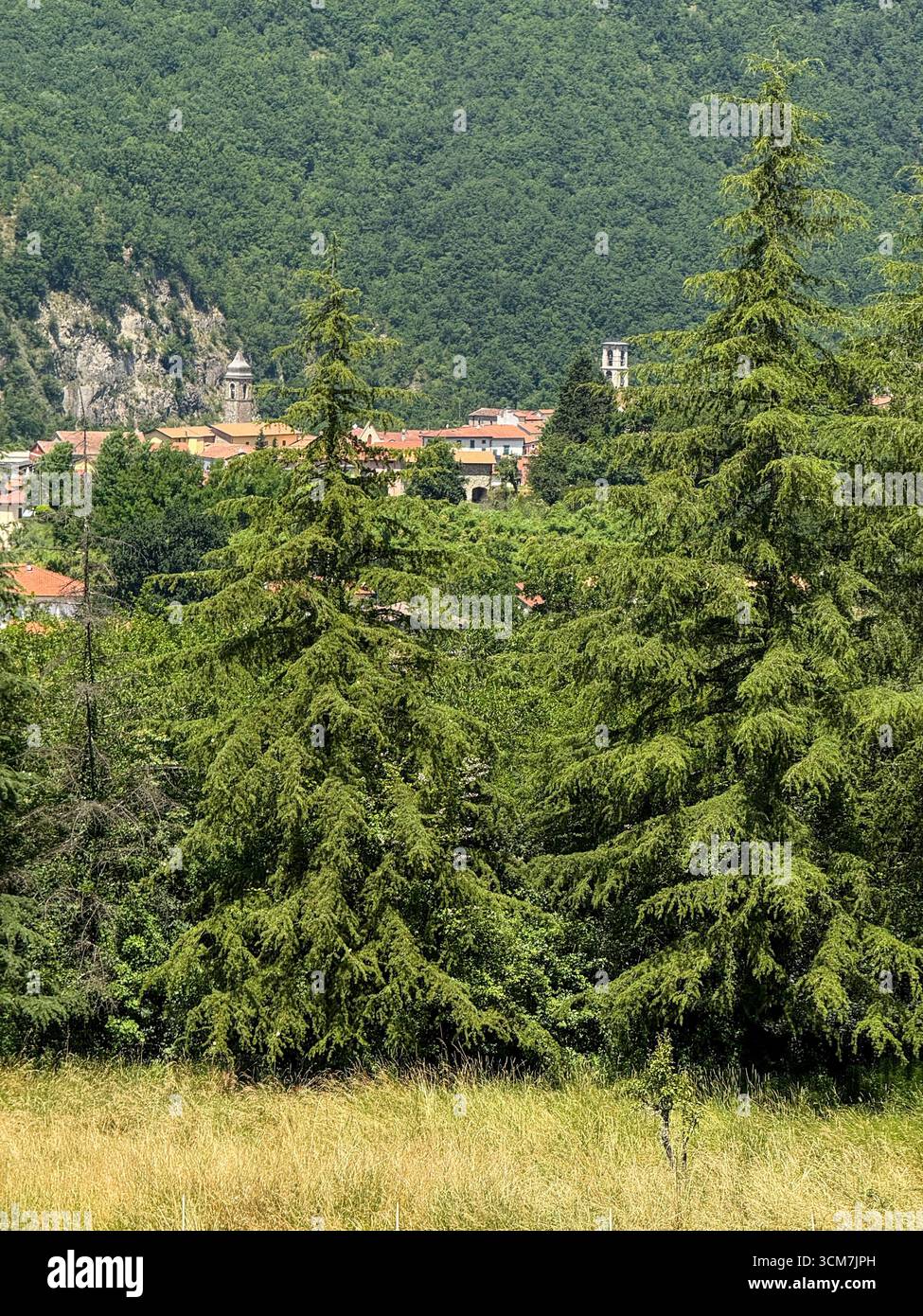 The skyline of small medieval town Fivizzano seen through the trees from the 16th century monastery called 11 convento del Carmine in the commune prov - Smartphone Captured Stock Image