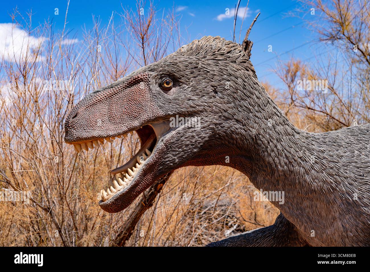 Life-size replica of the dinosaur Utahraptor ostrommaysi in the Moab ...