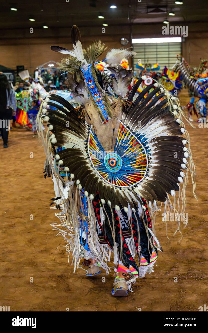 An Amerindian dancer in elaborate regalia dancing at a Native American ...