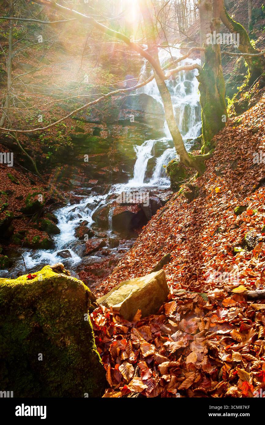 beautiful autumn scenery near the waterfall shypot. popular travel destination of Ukrainian Carpathians. mossy rocks near water stream. steep slopes i Stock Photo