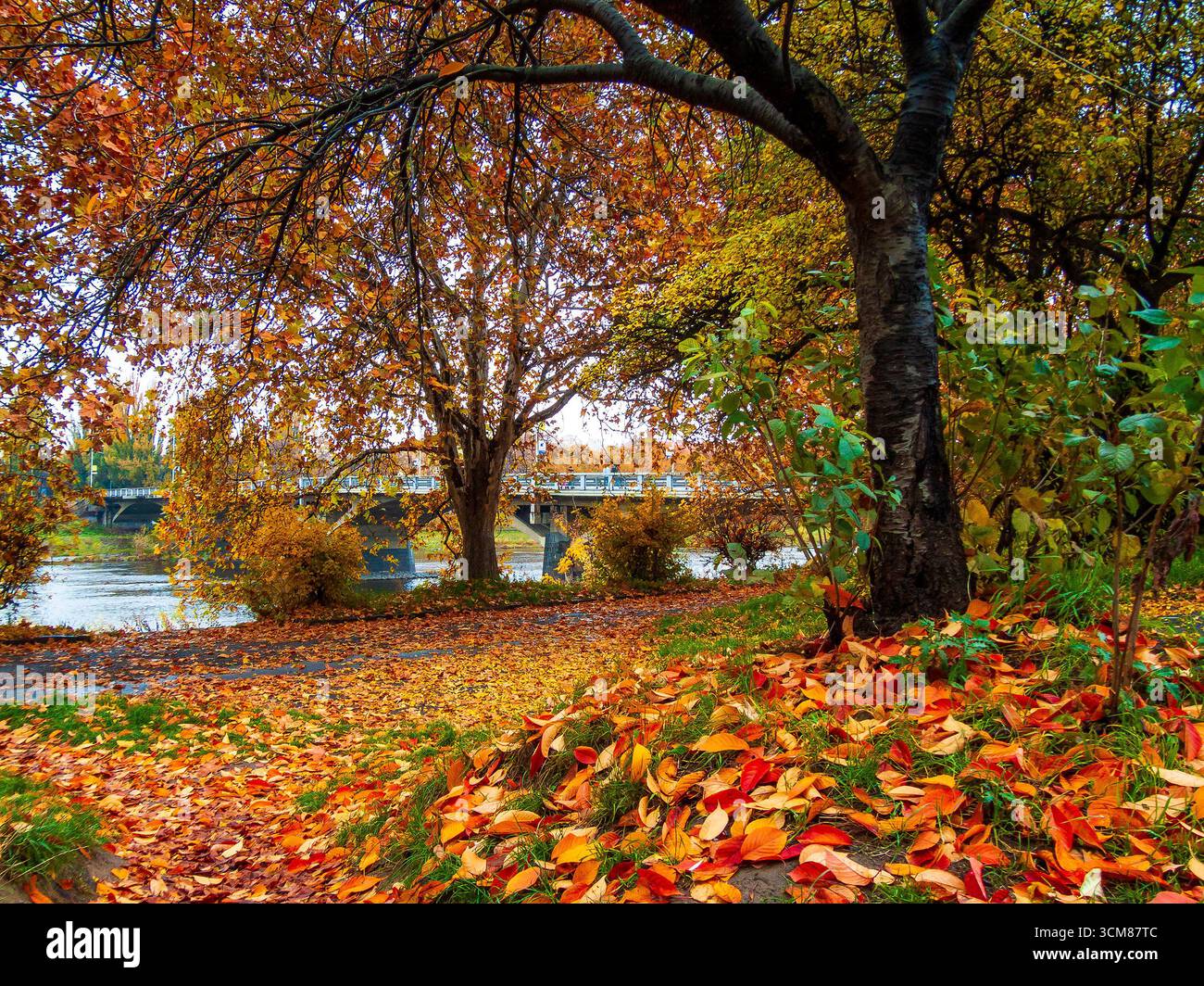 uzhhorod, ukraine - nov 04, 2007: urban landscape. wet street of the old town after rain. with trees in orange foliage Stock Photo