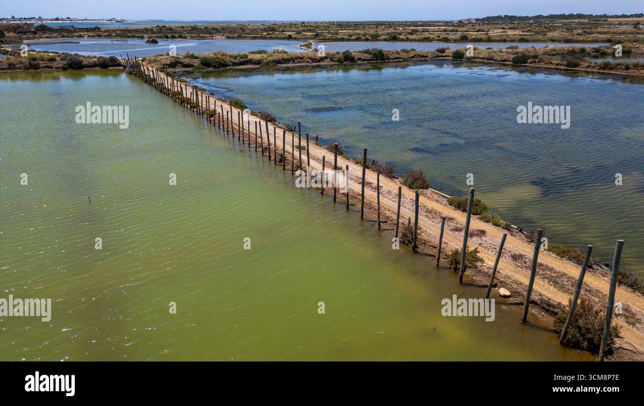 The picture shows a narrow causeway separating various water basins of a salt works in an extensive lagoon landscape. The interplay of greenish and blue water, vegetation and open areas illustrates the typical structures of traditional salt production. Stock Photo