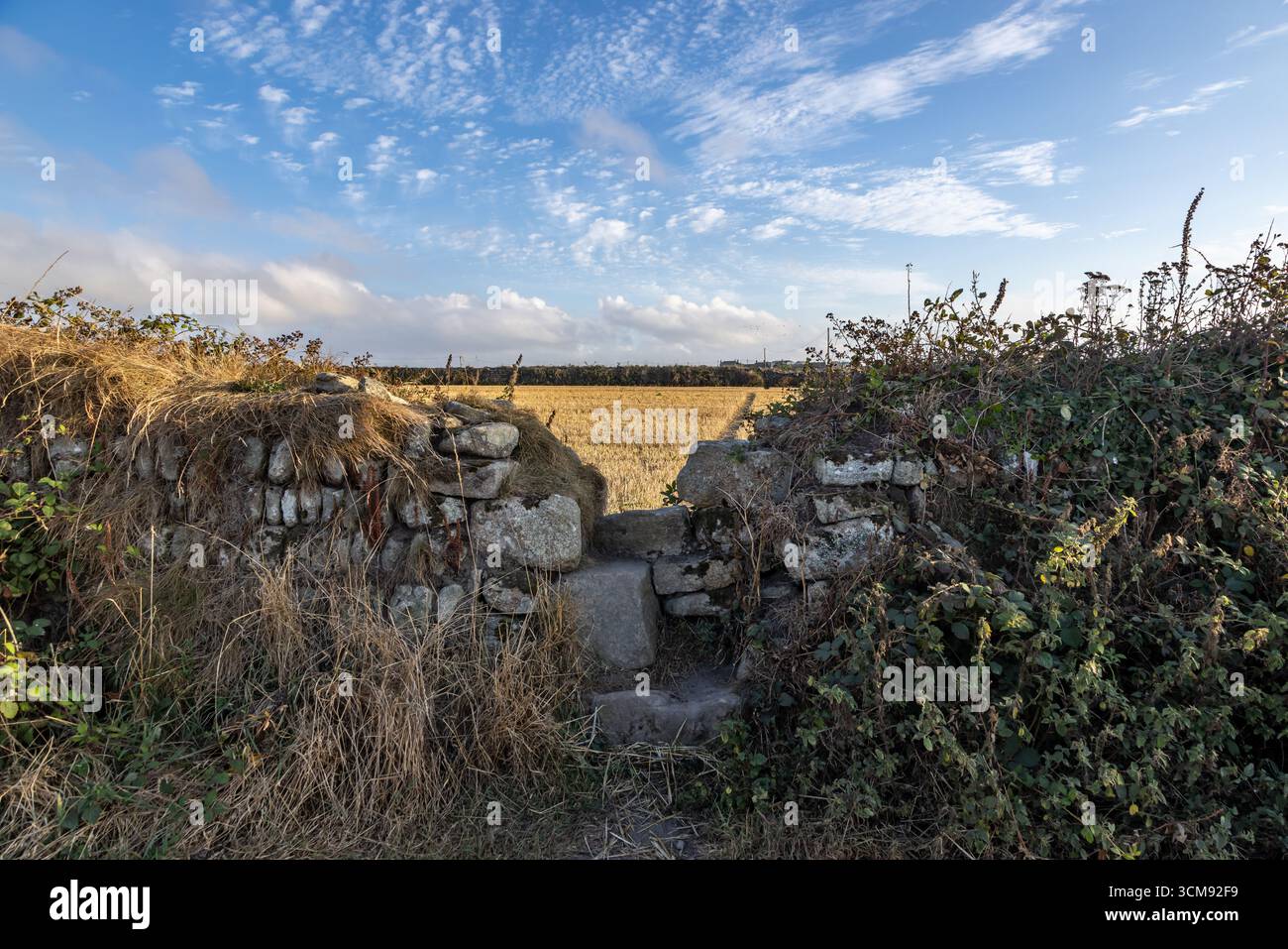 A stone wall with steps and farmland beyond, near Cape Cornwall Stock Photo