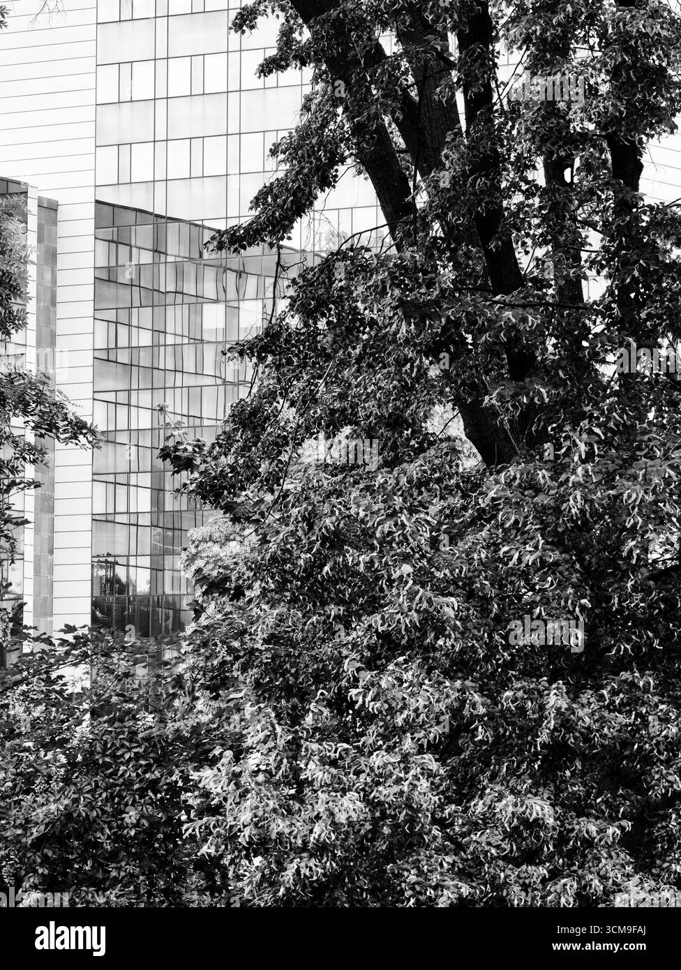 House building glass Black and White
