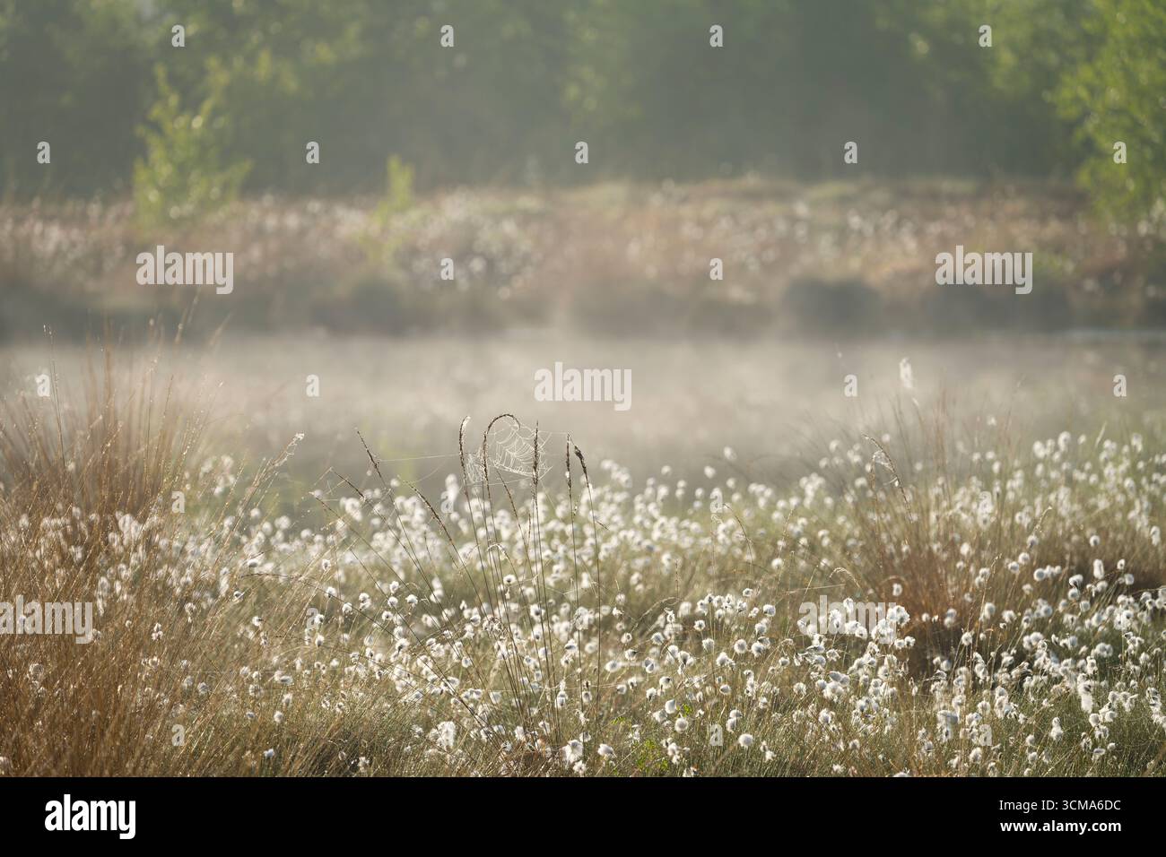 Fruit stand in lower hi res stock photography and images Alamy