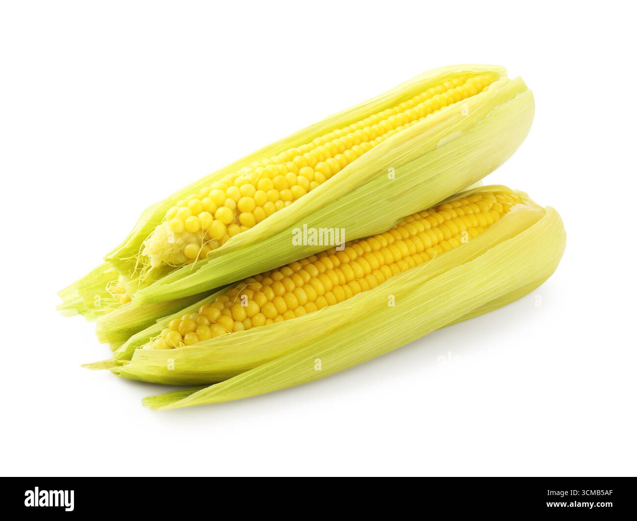 Three tasty boiled corncobs isolated on white Stock Photo