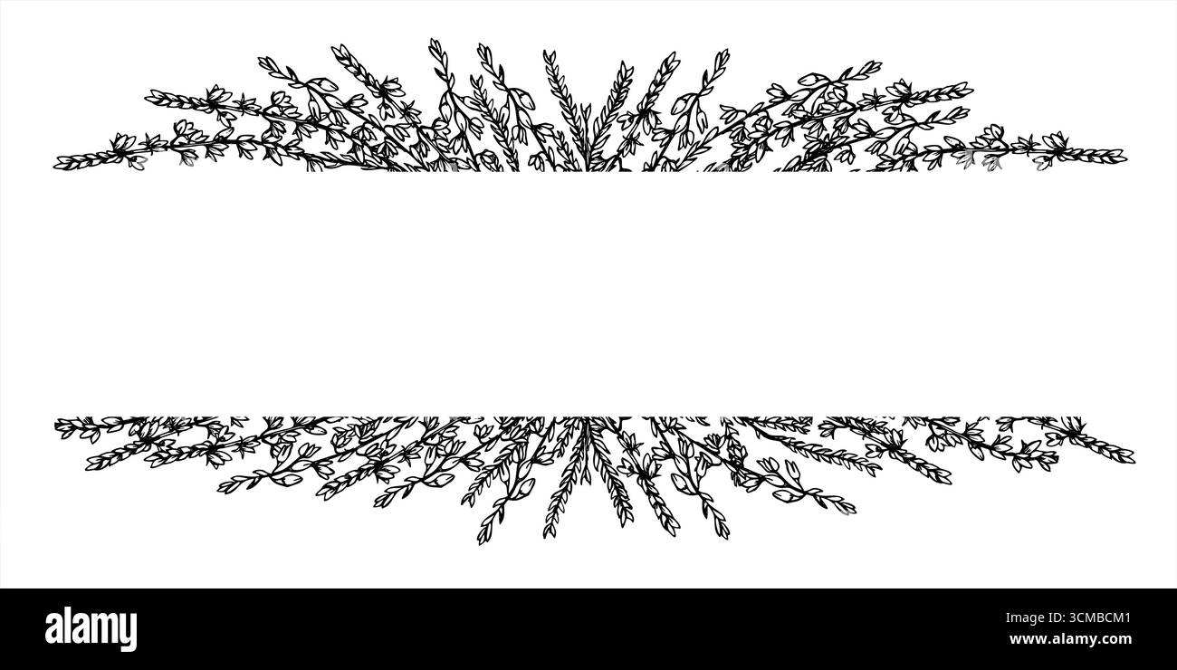Heather flowers vector rectangle border. Monochrome winter blooming ...