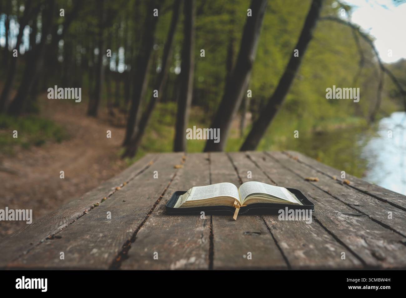 Open Bible on a wooden board near the river. Stock Photo