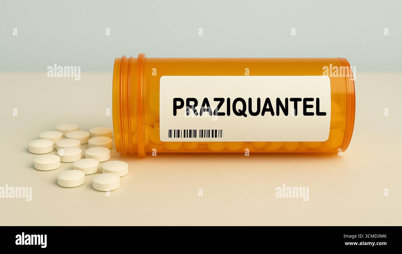 Box of PRAZIQUANTEL tablets on a hospital pharmacy table used to treat parasitic worm infections an anthelmintic. Stock Photo