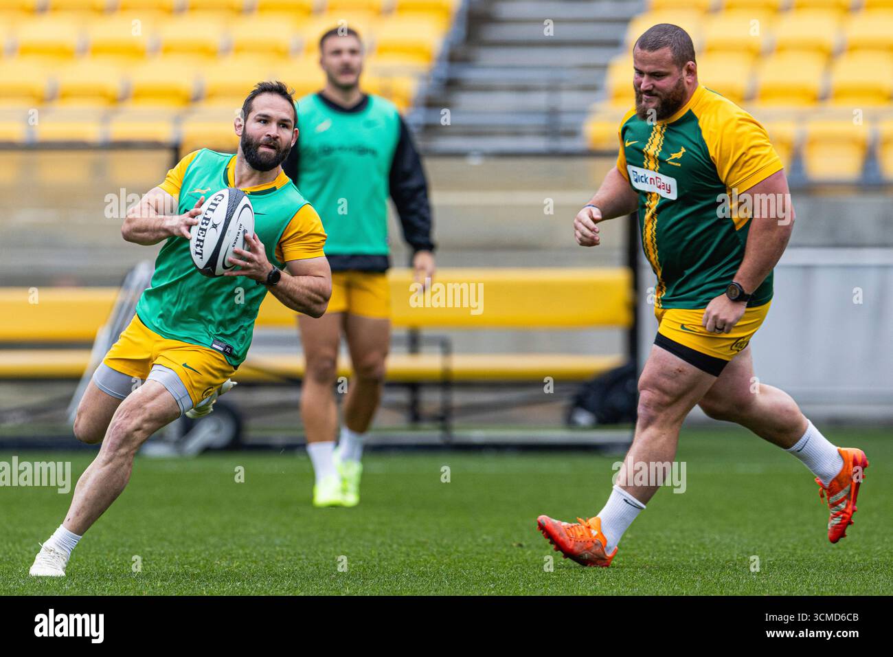 WELLINGTON, NEW ZEALAND - SEPTEMBER 12: Springboks scrumhalf Cobus ...