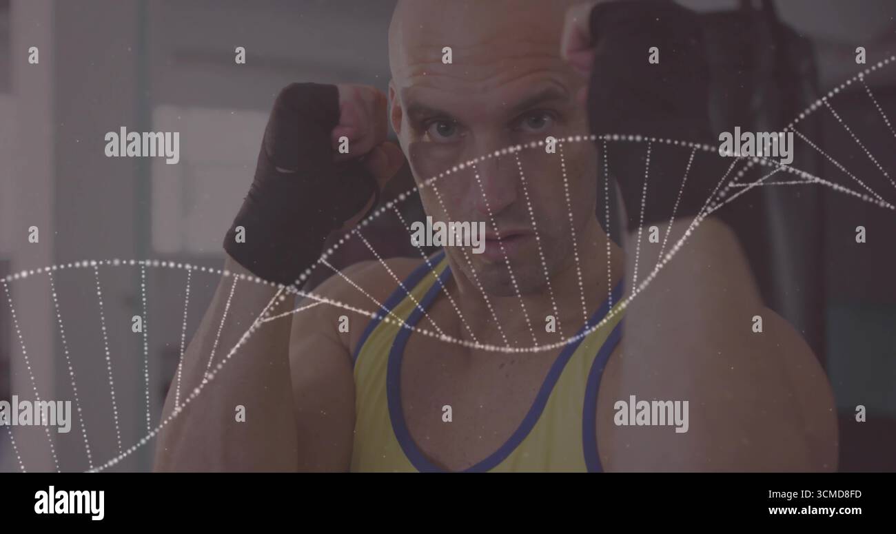 Holding fists up boxer wearing yellow tank top, wraps in gym, with punching bag, DNA overlay Stock Photo
