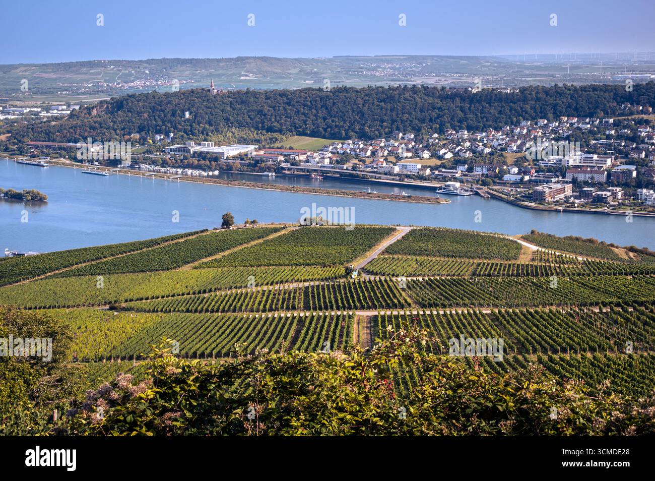Rhine Riverside “Picturesque riverside town with vineyards in the Rhine Valley, Germany ...