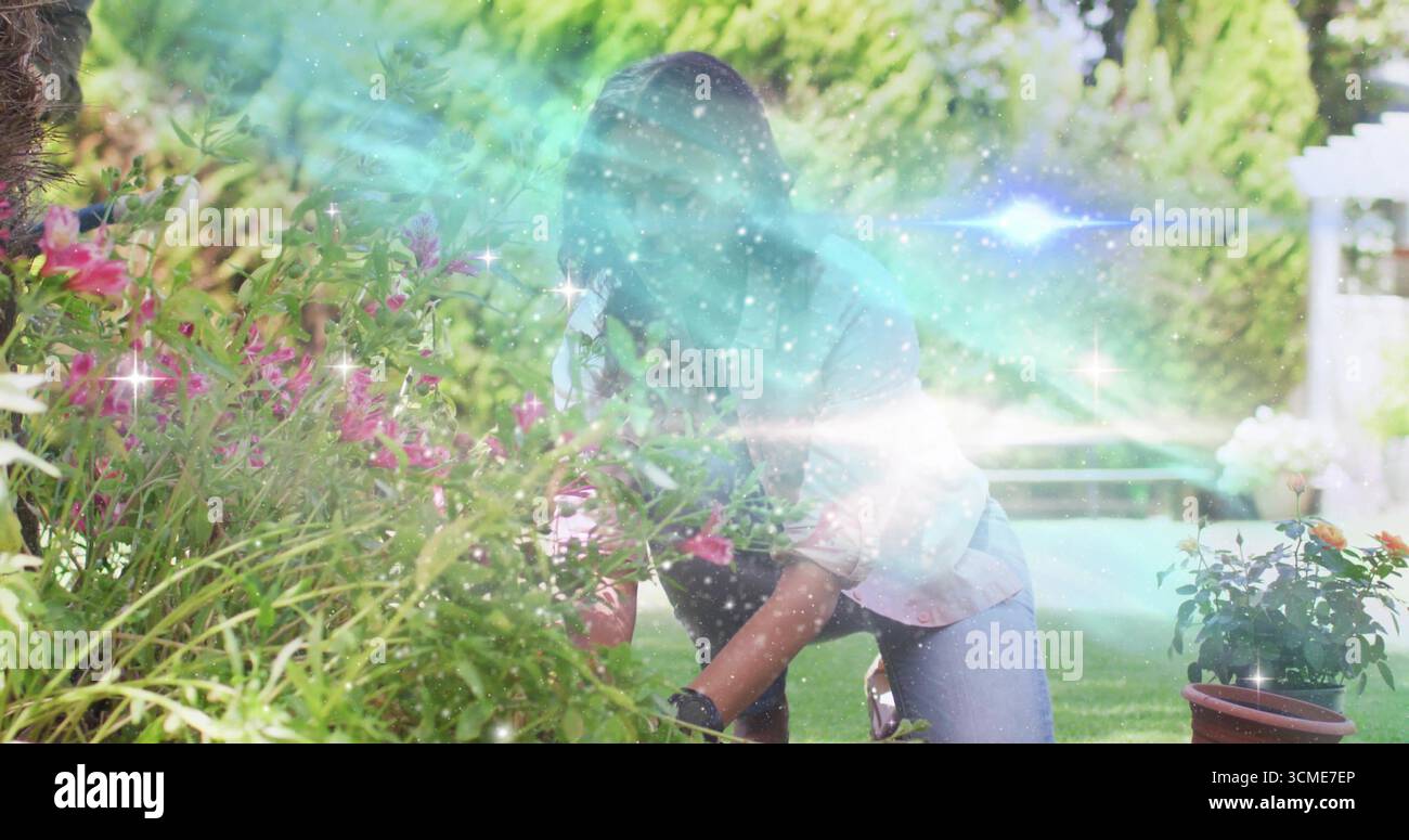 Tending woman wearing garden gloves crouching in backyard, among pink blossoms and potted plants Stock Photo