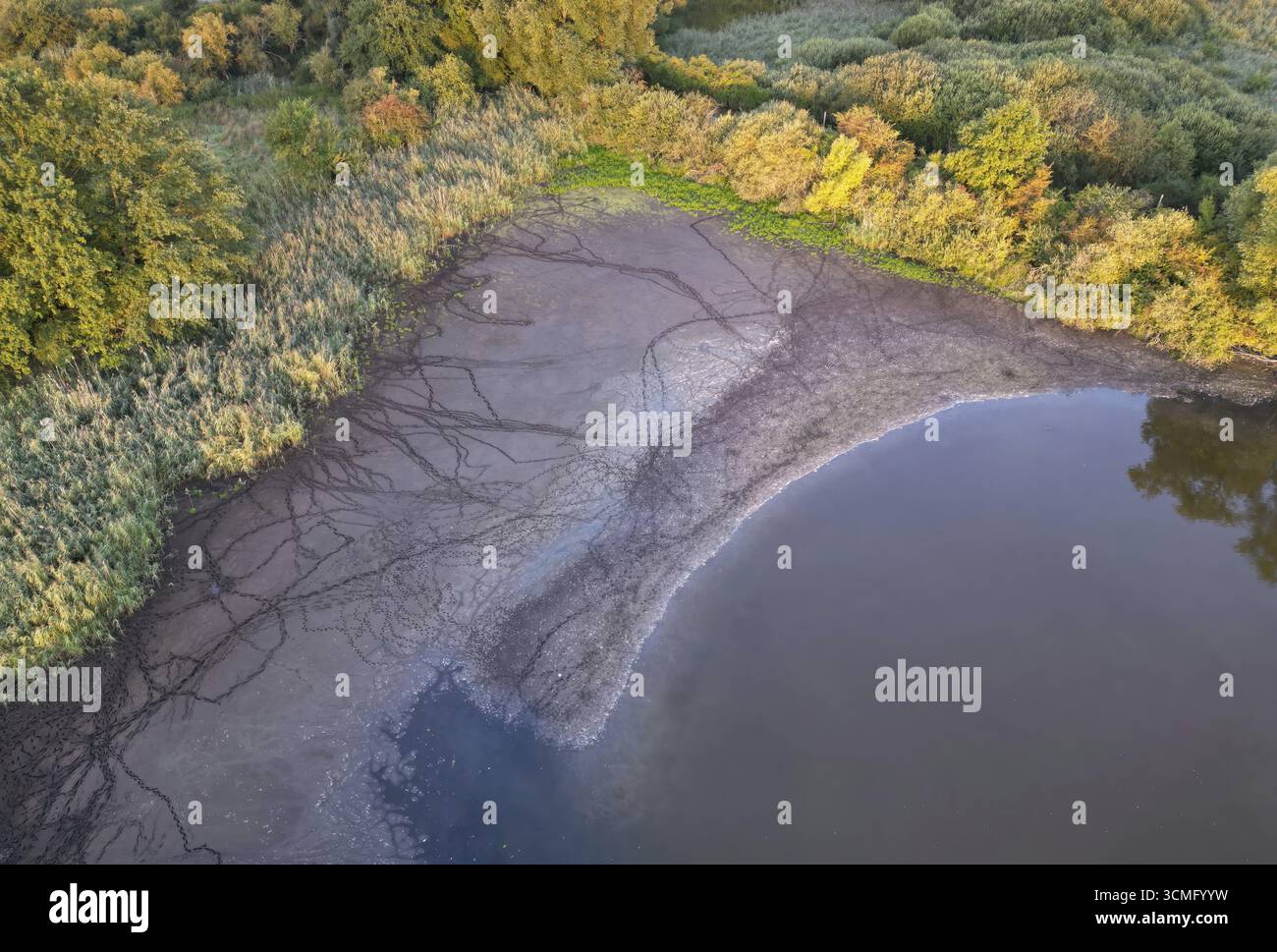 Recognising animal tracks, mud, track reading, shallow water zone, mud ...