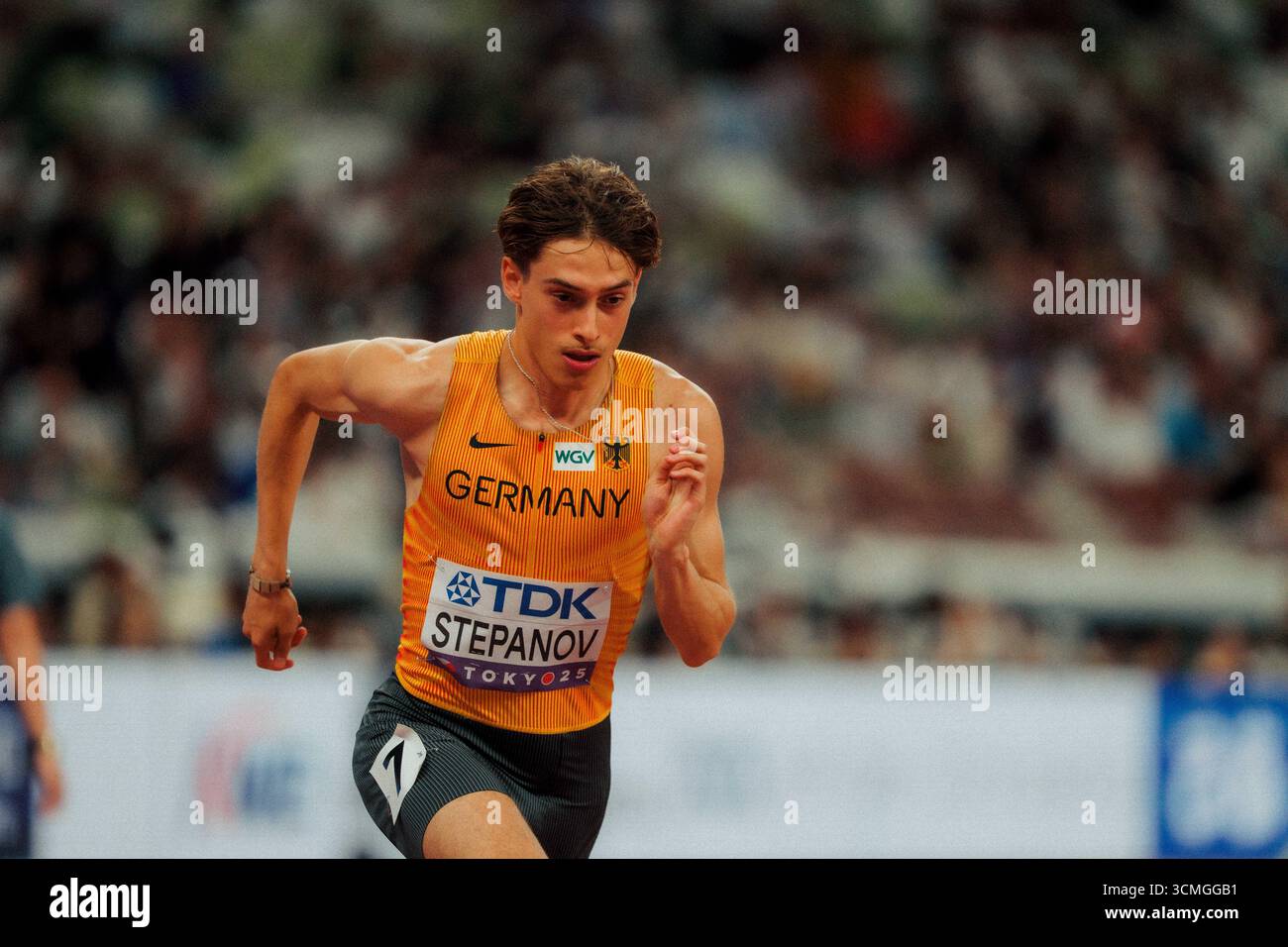 Stepanov Icon Stepanov hi-res stock photography and images - Alamy