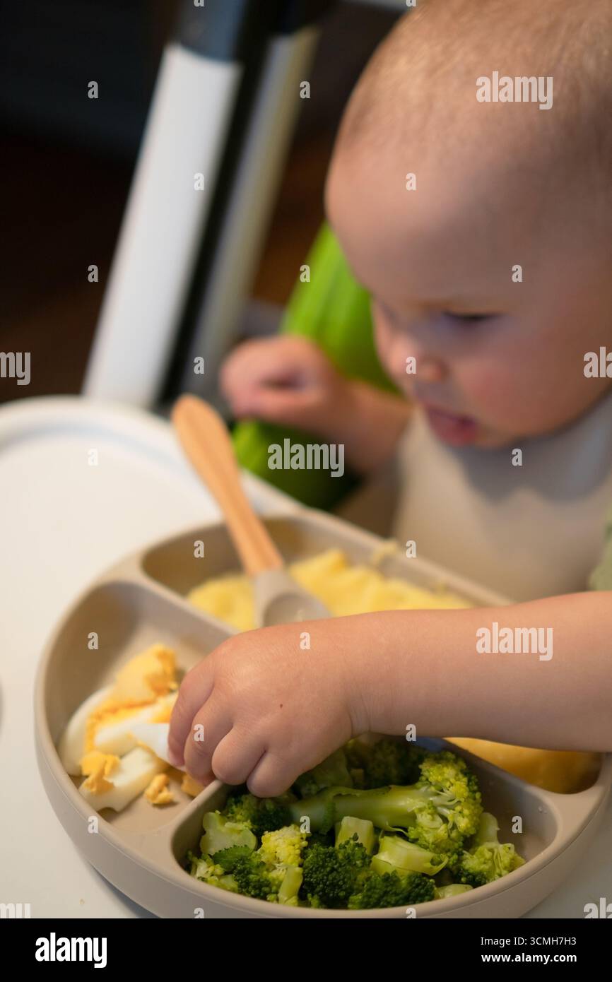 Image showcasing Curious toddler in feeding chair picking at nutritious meal components ...