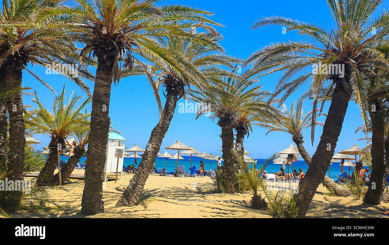 A view through the famous palm forest onto the bustling Vai Beach with its turquoise sea and thatched umbrellas in Crete, Greece Stock Photo