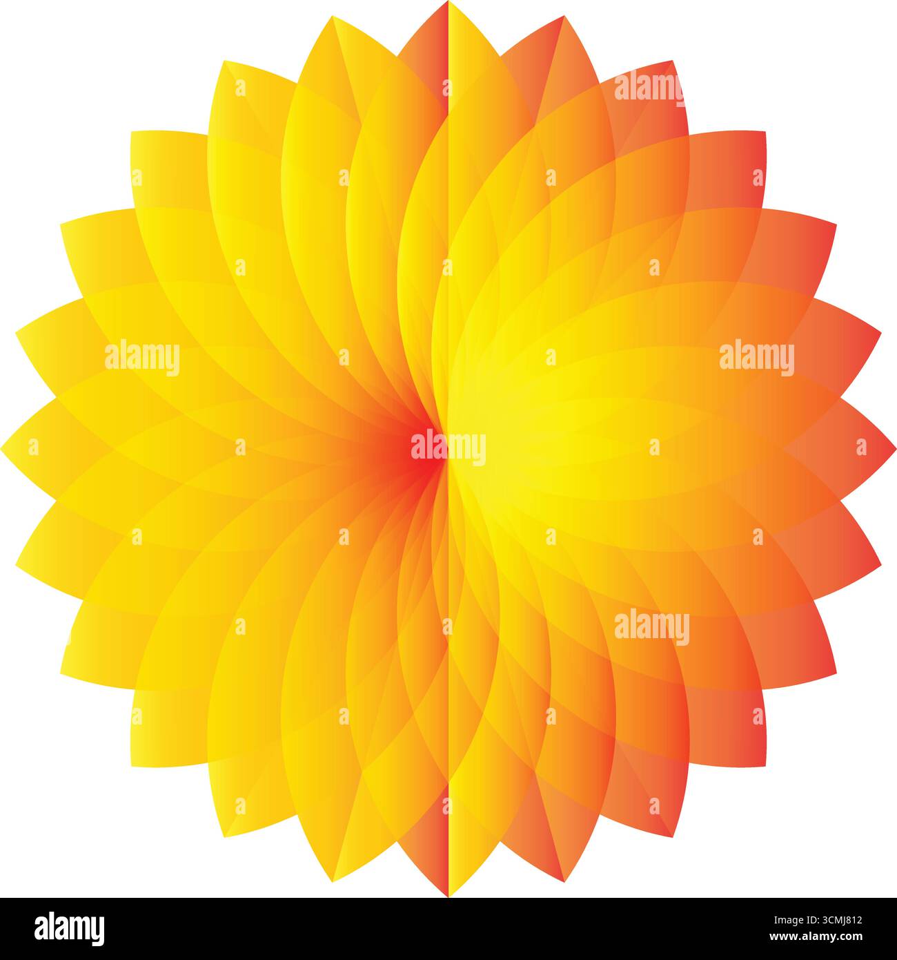Single orange gerbera daisy isolated on a white background Stock Vector