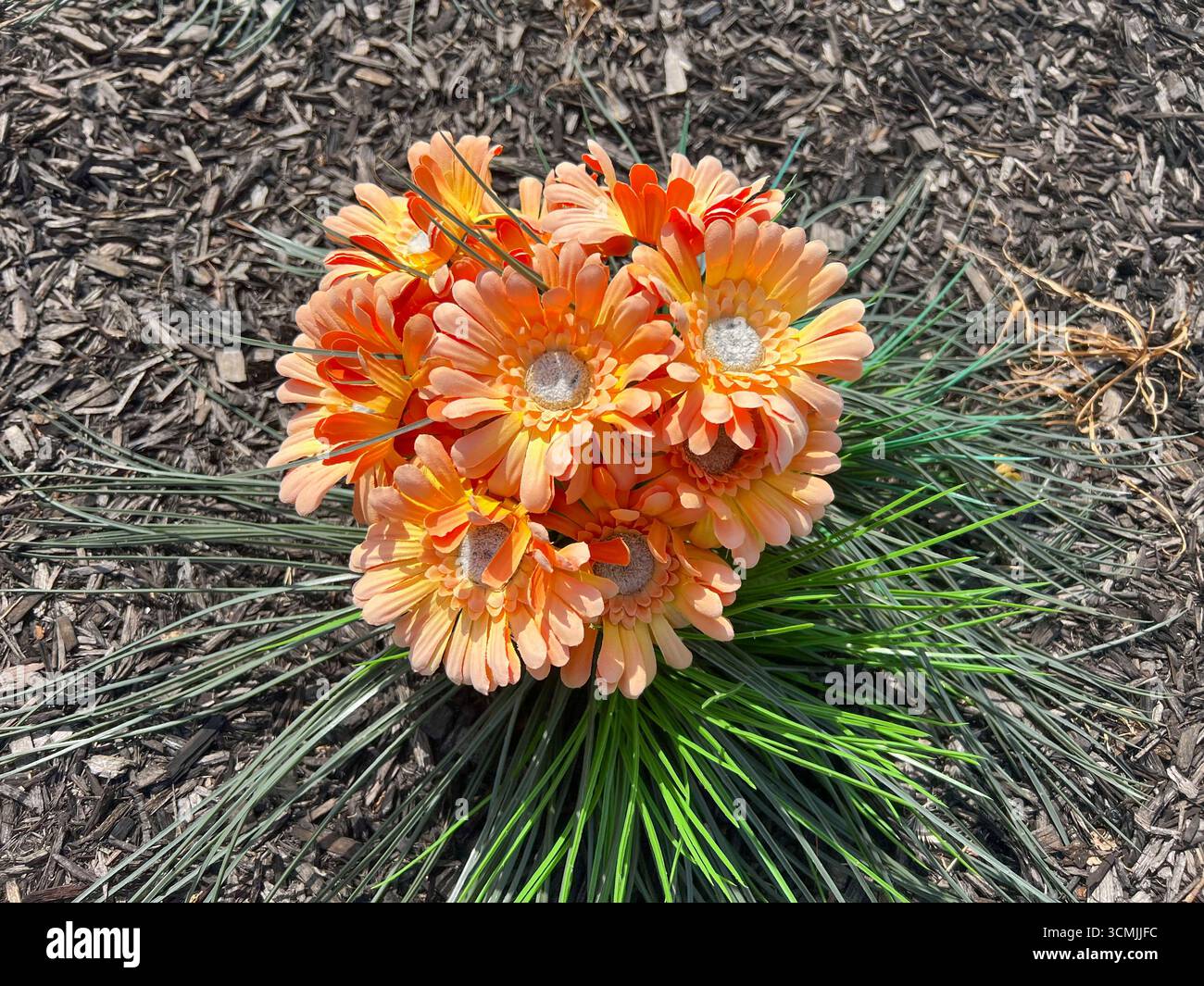 A closeup of a artificial flower, which is a gerbera daisy. - Smartphone Captured Stock Image