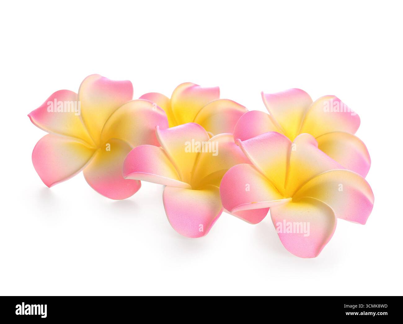 Pink flowers on beach Cut Out Stock Images & Pictures - Alamy