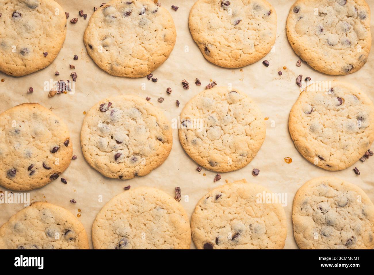 Fresh Chocolate Chip Cookies on Baking Sheet Stock Photo