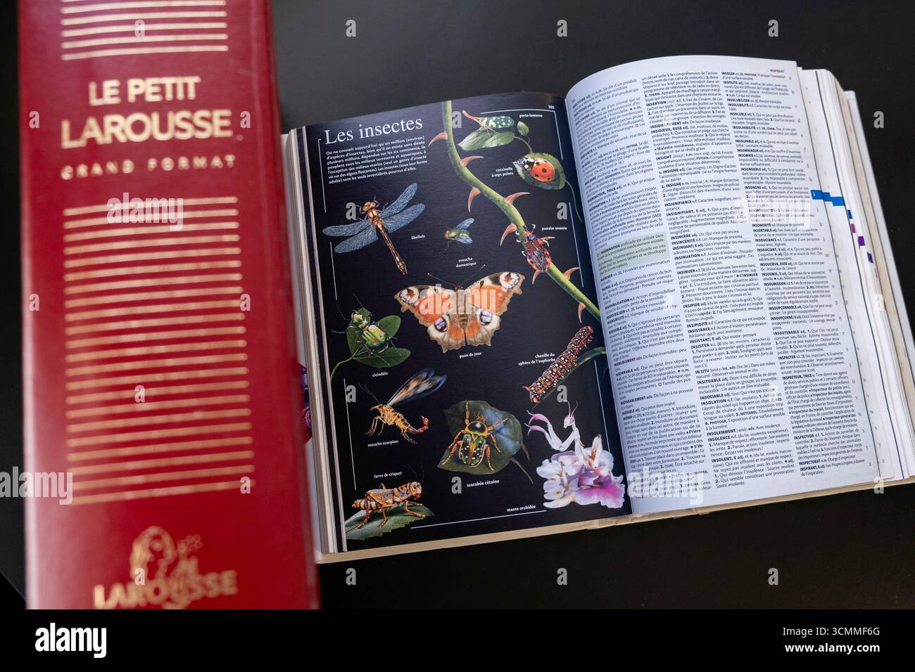 Larousse Rats Larousse Dictionary, The Little Illustrated Larousse (“Le petit ...