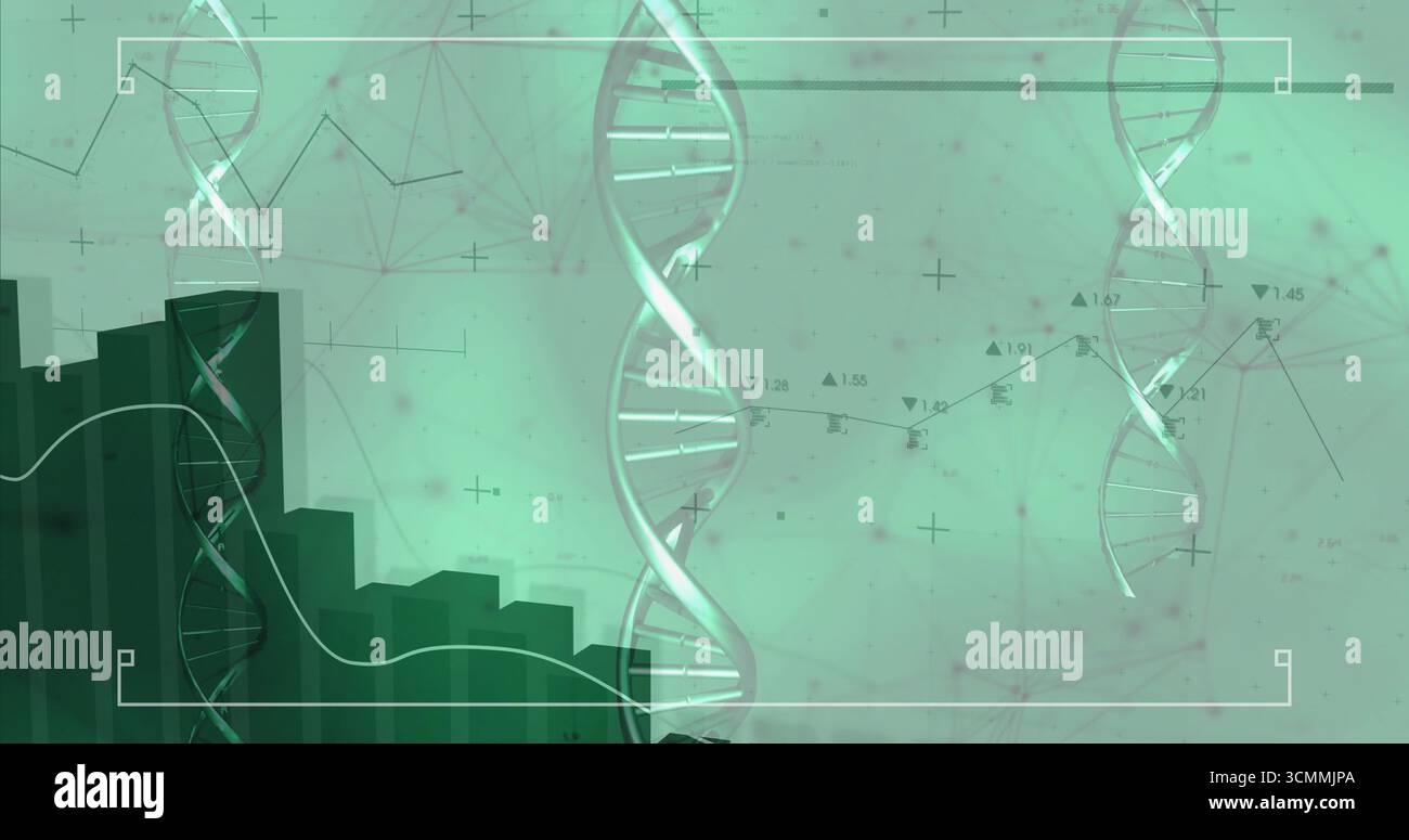 Displaying three DNA double-helix models in virtual data space with bar chart and network overlay Stock Photo