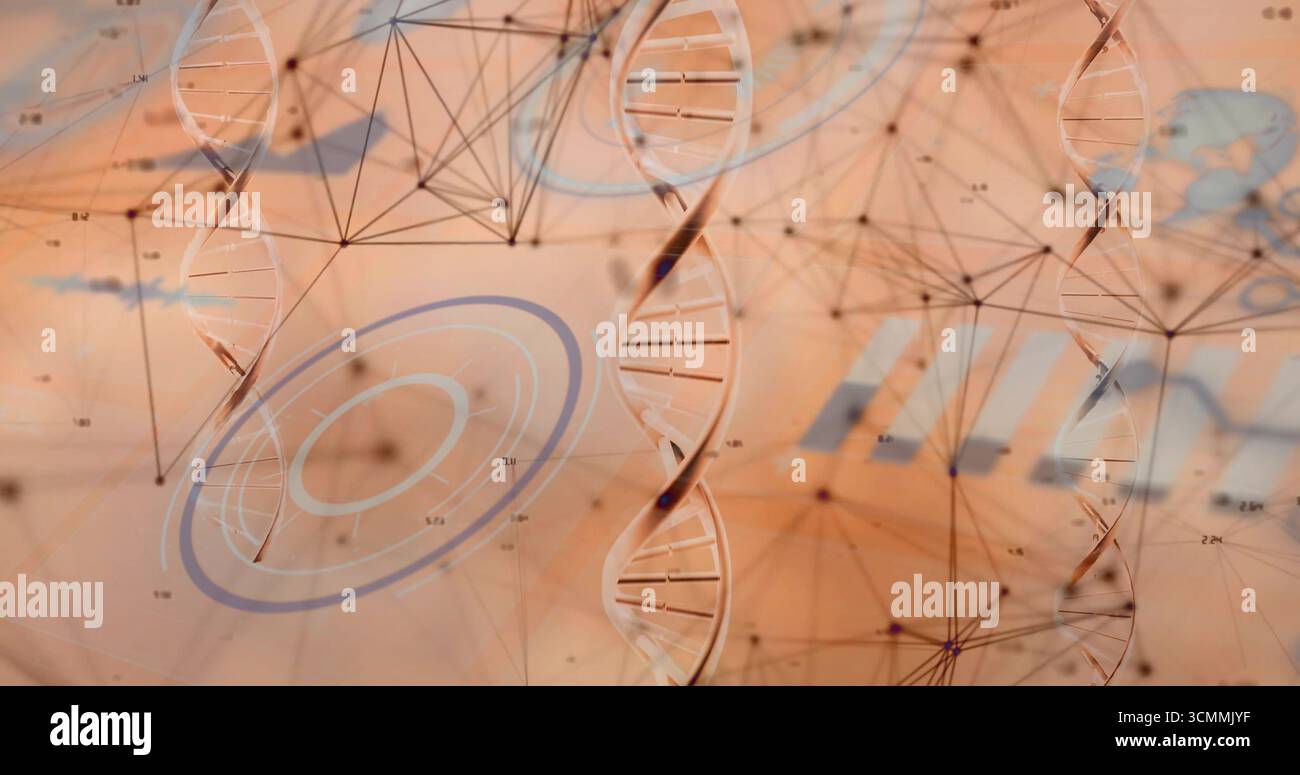Displaying DNA strands on digital screen with nodes lines circular charts and data annotations Stock Photo