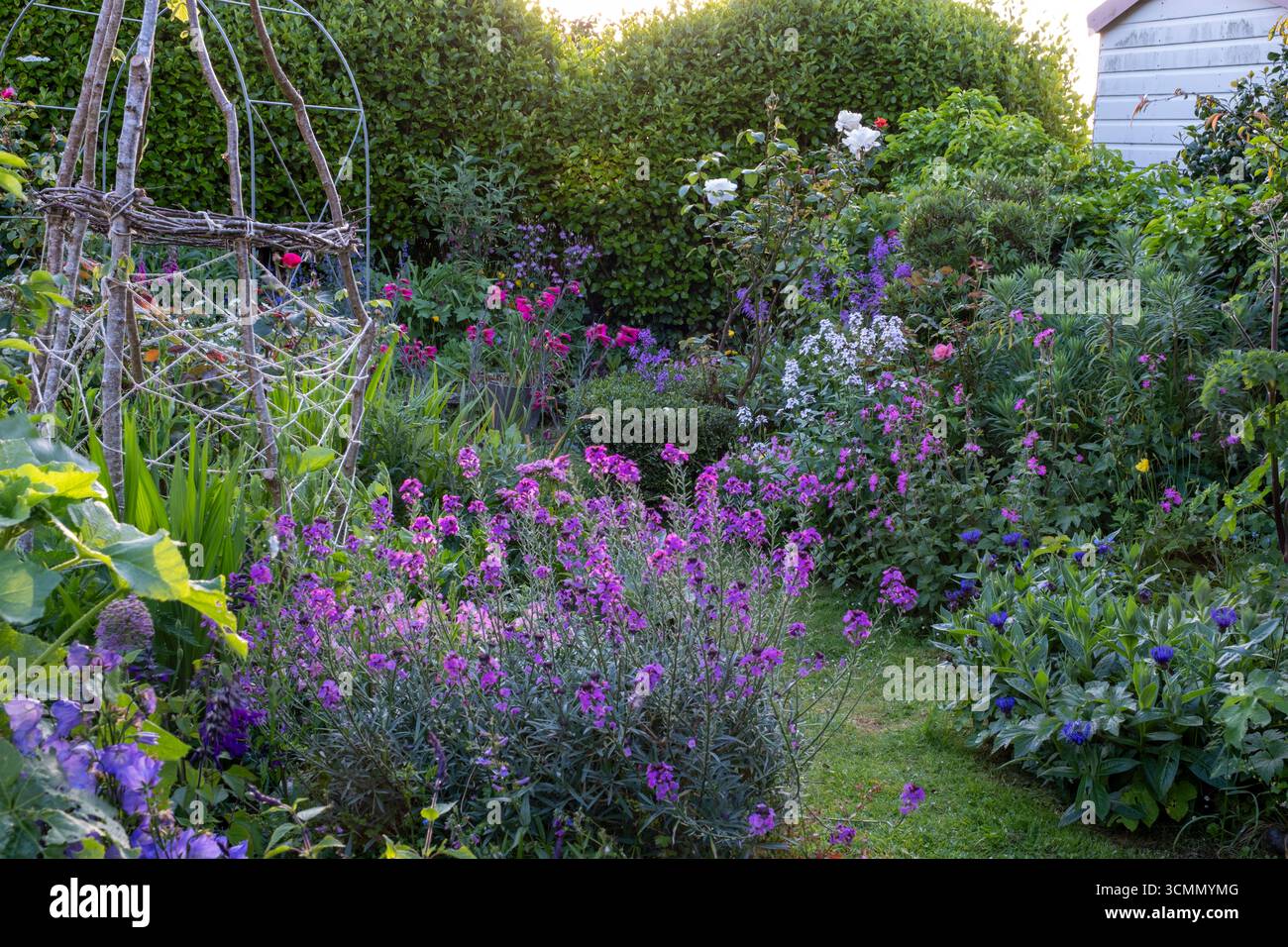 Grass path in cottage Garden winds between informal borders filled with summer flowers Stock Photo