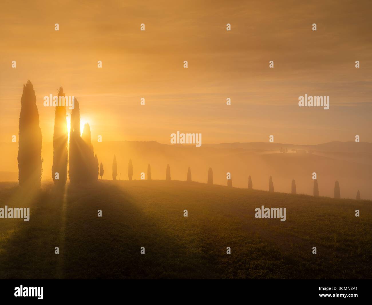 Landschapsfoto van de zonsopkomst met prachtig gouden licht in de heuvels van Toscane, Italië met mist en mooie zonneharpen tussen de cypressen Stock Photo