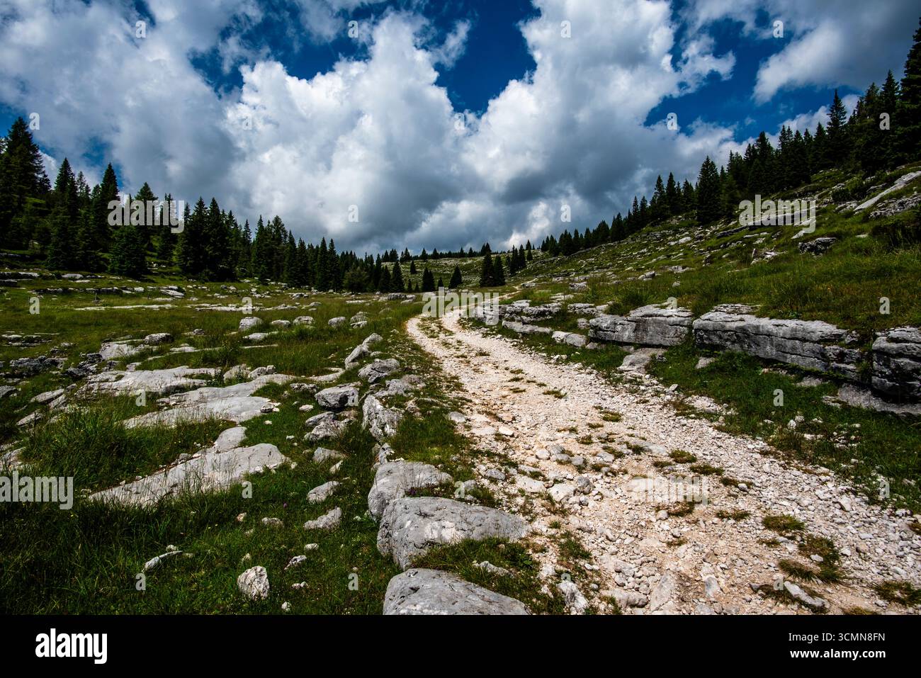Rocky mountain road curving through alpine meadow with conifer forest and cloudy sky. Concept of travel, hiking, adventure and unspoiled wilderness. Stock Photo