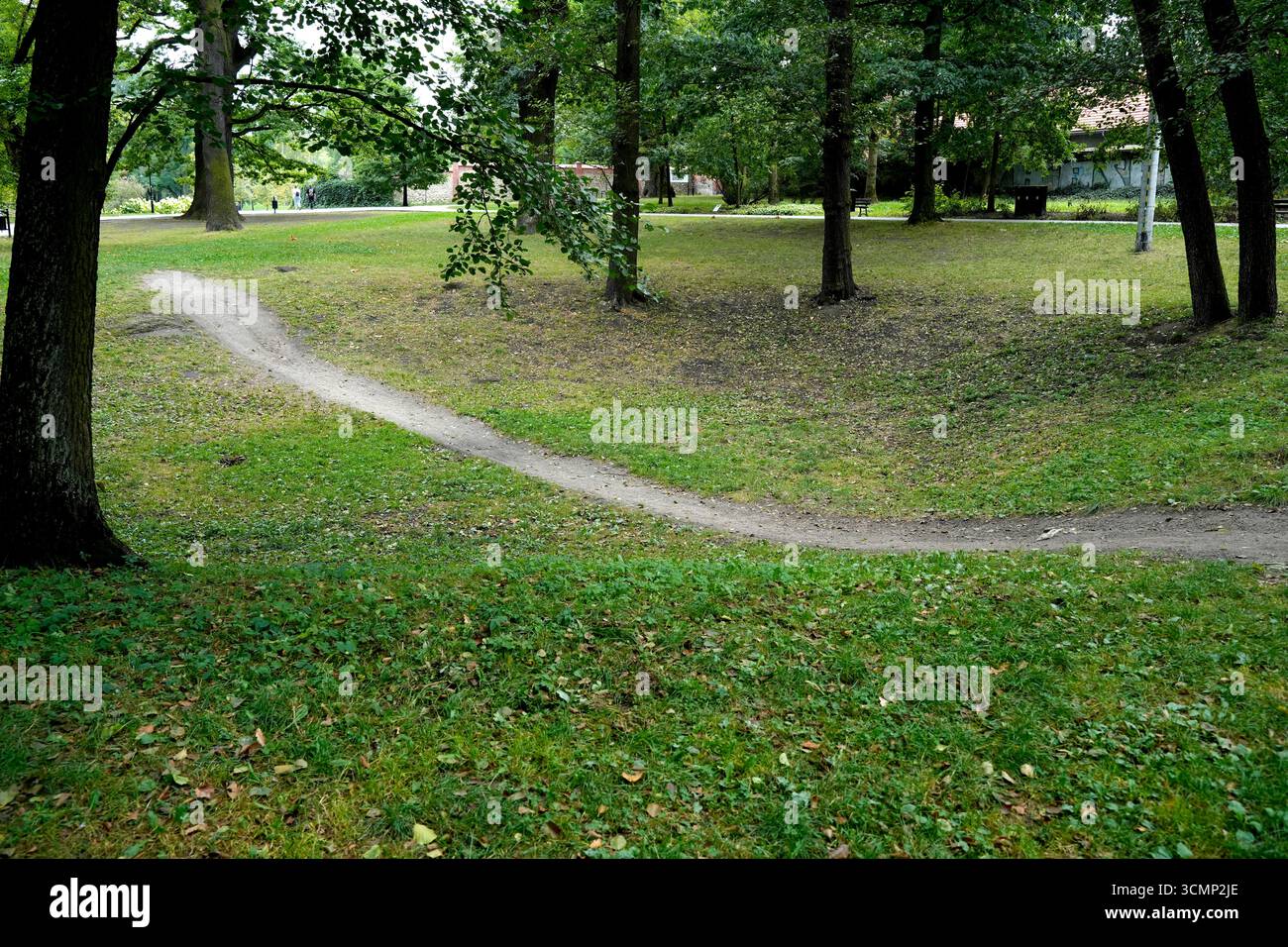 Pathway among trees in the park Stock Photo - Alamy