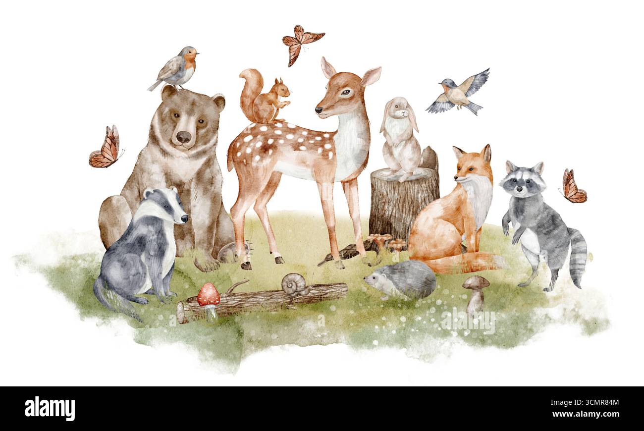 Watercolor illustration of Woodland Animals including bear, fox ...