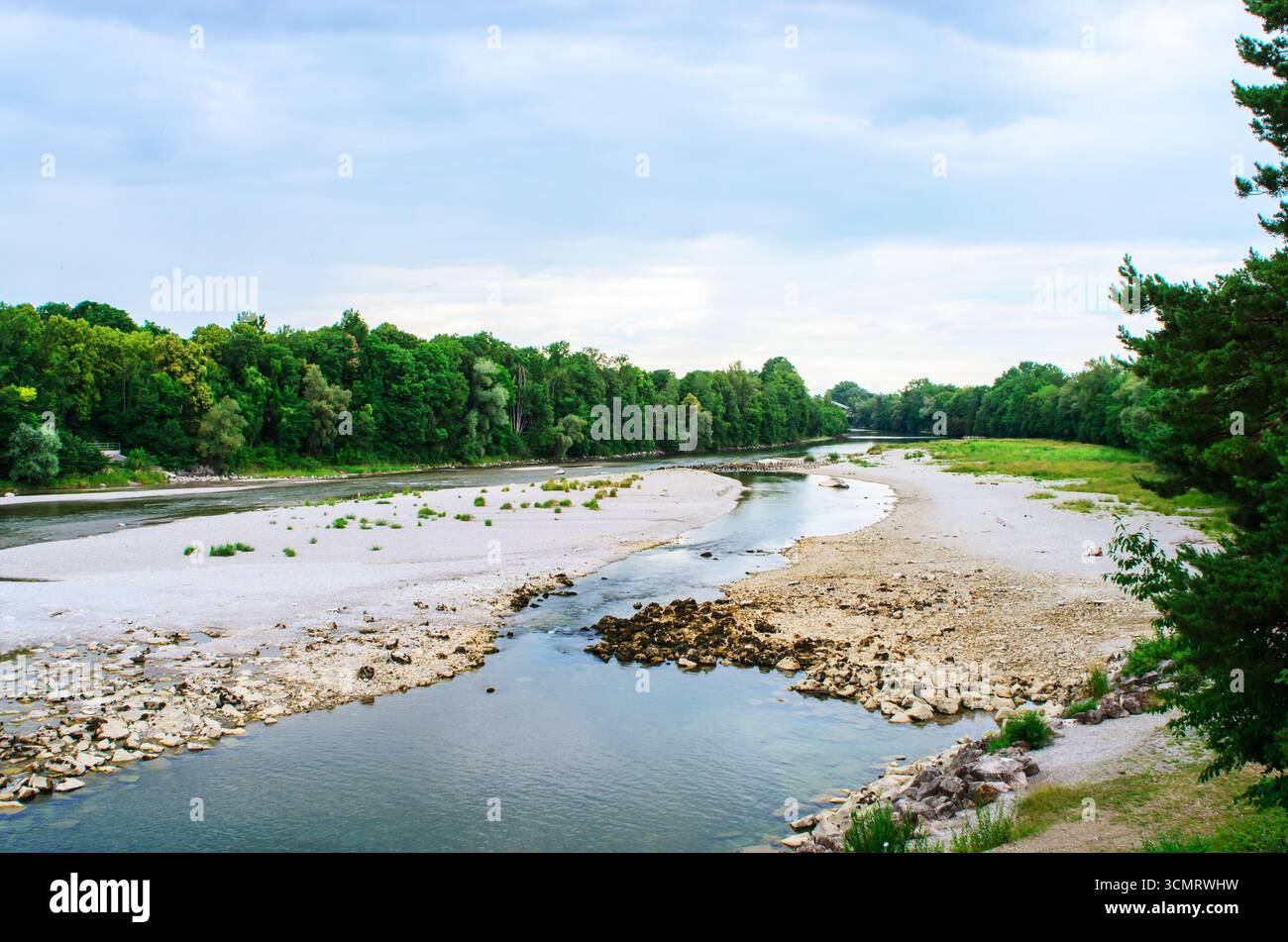 Greenery Near Rivers Forested vegetation plants hi-res stock photography and images - Alamy