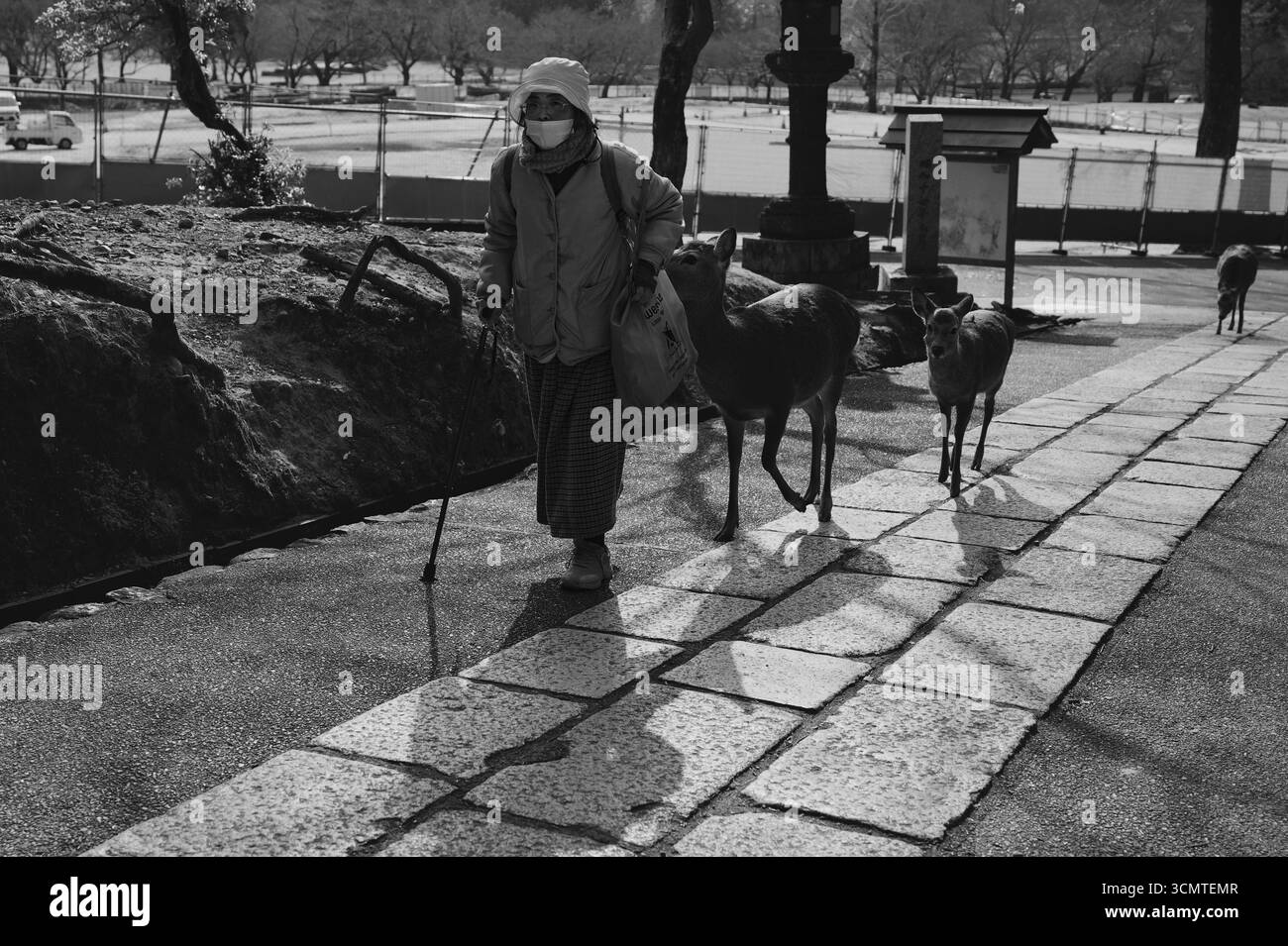 Elderly woman walking with deer companions along a stone path in Nara Park Stock Photo